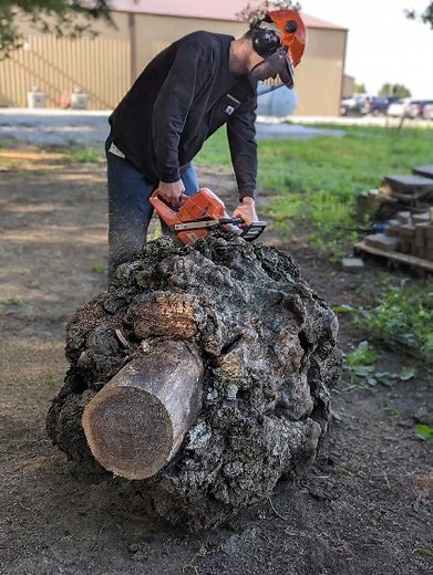 On my way home after another great week teaching at Marc Adams School of woodworking .A fun 7 days of turning and carving with buggy gnarly walnut ,wooden fossils , wall art , Viking bowls and great students. Thanks everyone 🪓🪵🍻💥. | Nick Agar