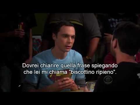 The Big Bang Theory Sheldon Vs Will Wheaton
