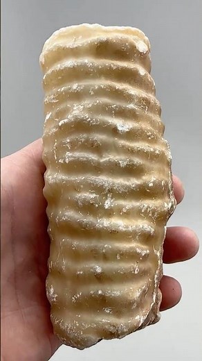 Cave Formation Part of a Stalactite or Stalagmite #crystals #minerals #stalctite #stalgmite