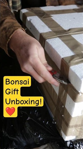 Is it Springtime yet?