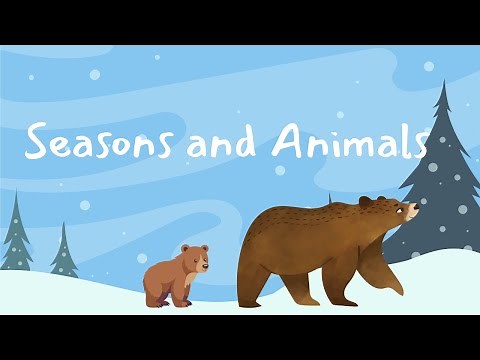 Discovering Seasons with Animals | Kids Educational Video