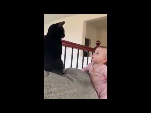 Kids vs Cats: Ultimate Funny Compilation 😂 Epic Cat Reactions & Chaos!