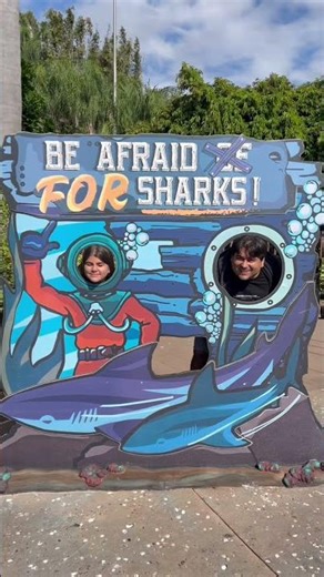 Everything about SeaWorld #traveltips #seaworld #orlando #travelwithkids #amusementpark