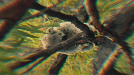 Exploring Magnetic Island, Australia: A Hidden Gem