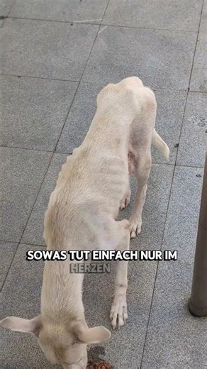 Macht was gutes 🫶🏼🫡