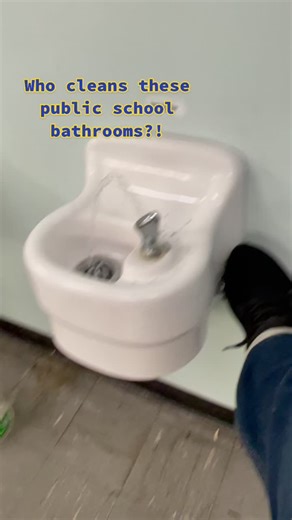 Shocking Cockroach Infestation in NYC Public School Bathrooms