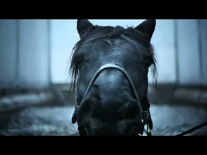 ATG V75 - Sanningens ögonblick