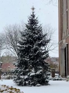 DePaul University will be closed for holiday break starting on Monday, Dec 23. Regular office hours resume on Thursday, Jan. 2, and winter quarter classes begin on Jan. 4. Wishing our Blue Demon family a joyful and restful holiday season. See you in the new year! | DePaul University