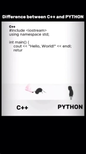 The difference between python and c++
