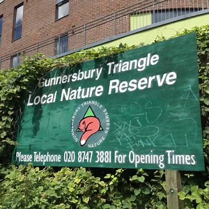 Did you know about this hidden West London nature reserve? | Londonist