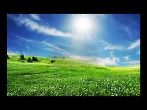Vivaldi - spring