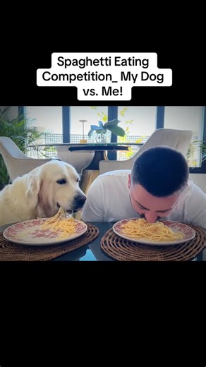 Spaghetti Eating Competition_ My Dog vs. Me! | This is Bailey