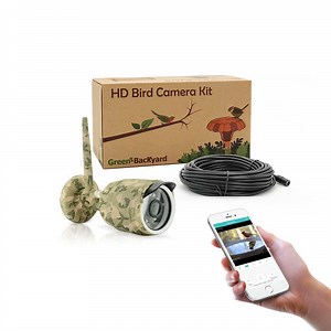 IP Bird Feeder Camera - Green Backyard