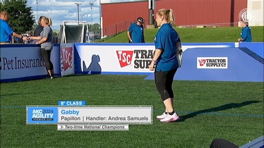 Little legs? No problem. Watch Gabby absolutely crush this course! | American Kennel Club