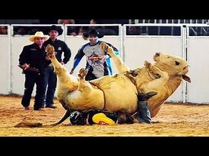 The worst bull riding in the history of rodeo.