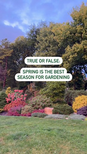 Here’s why fall is our favorite season for planting: 1️⃣ Autumn’s cooler weather causes less stress to young plants 2️⃣ Fall planting gives trees and shrubs several weeks to establish roots before going dormant in the winter time, meaning they will be better prepared for the heat of the following summer 3️⃣ The more planting you get done in the fall means more time to enjoy your garden in the spring! Tap the link in our bio to get plants delivered today. 🌿 #FallGardening #FallLandscaping #FallY