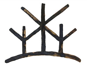 Wild Atlantic Rainforest Project — Hometree