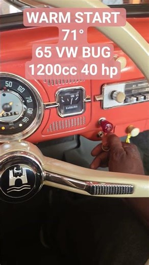 Warm Start 65 VW BUG 1200cc Engine last ran in 1983 until 2025 #vwbug #coldstart #vwbeetle