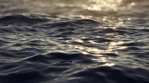 1.2K views | Service Video: Wie man ein Raymarine Dragonfly updated /...