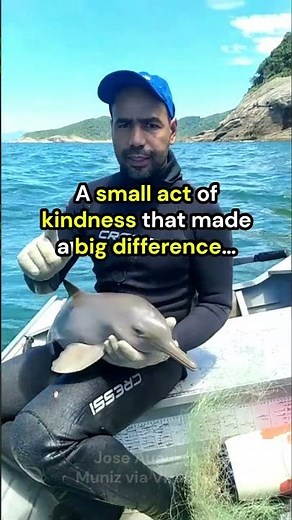 Kind Man Saves Adorable Baby Dolphin from Fishing Net ❤️ #animals #wholesome
