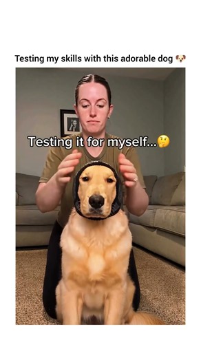 A funny dog moment that melts hearts!