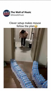 1.7M views · 17K reactions | Clever setup guides mouse one way only! | The Wall Of Music | Facebook