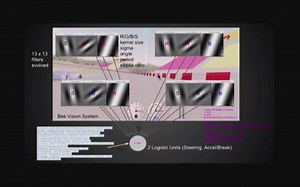 PathNet and Beyond (NIPS2017) by Chrisantha Fernando[DeepMind]