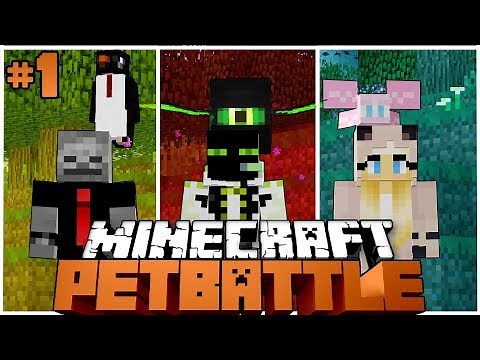 A NEW BATTLE PROJECT?! - Minecraft PETBATTLE #1 [German/HD]