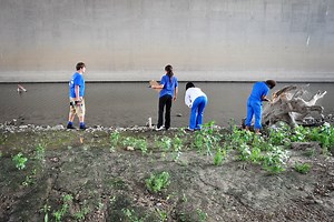 Vocational High Schools: Career Path or Kiss of Death?