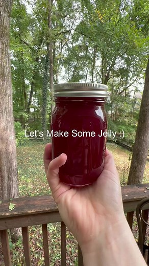 Homemade Muscadine Grape Jelly Recipe