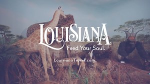 Have you visited the Touchstone Wildlife & Art Museum in Haughton, LA? The museum showcases animals from all over the world. 🦓🦒🐅 They're mounted in their natural habitat with beautiful backgrounds painted by professional artists! Be sure to give them a visit for a wild time. #MuseumMonday For more information, visit their website: http://www.touchstonemuseum.com/ 📍Visit Shreveport-Bossier | Explore Louisiana