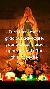 Hail, Holy Queen #blessedvirginmary #prayer #prayerlife #ourlady’ssaturday