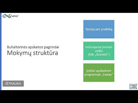 Buhalterinės apskaitos mokymai | Darbas su programa Exway | Ištrauka