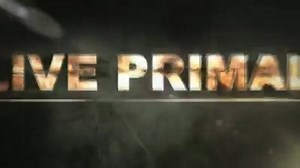 11 reactions · 12 shares | Wanna move better, feel better and look better? Try small group personal training where we combine strength training and conditioning with plenty of fun into each 50 min session. | Primal Fit Miami Personal Training | Facebook