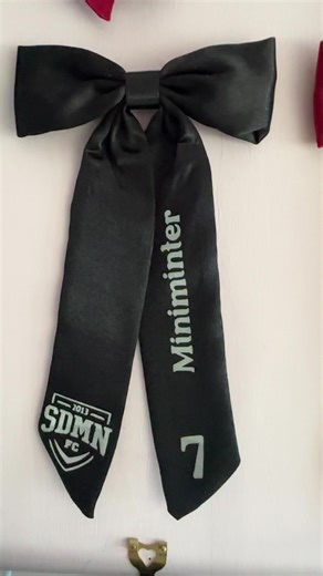 SDMN FC Charity Match Highlights