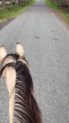 In Horsemanship, as in all relationships, sometimes ‘Less, is More’. | Guy McLean