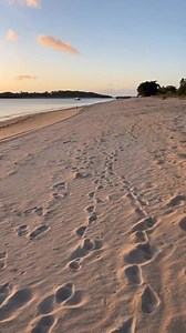 4.4K views · 103 reactions | The beauty of Cape York Peninsula. Sunsets, beaches, rainforest, river, creeks, wildlife, and many other places to explore. | Torres Strait Islander Artist, Curator, Writer and Specialist | Facebook