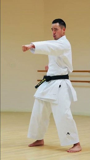 Shotokan Karate Punches (EXPERT SPEED)🥋🔥