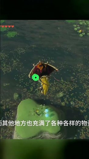 王國之淚新手超有感！前期幾件事晚做你絕對會捶心肝！ #塞尔达传说 #旷野之息 #大师模式 #剑之试炼 #DLC