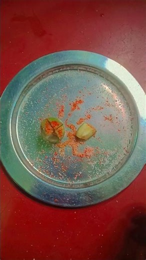 ##mango chat 😋😋😋😋