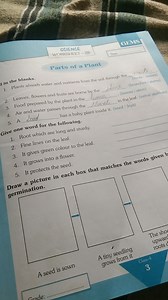 SCIENCEWORKSHEET - 2 BDate:Parts of a PlantIn the blanks.... | Filo