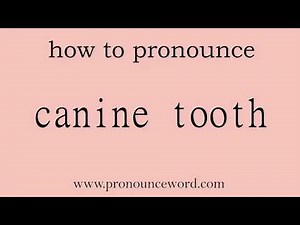 canine tooth. How to pronounce the english word canine tooth .Start with C. Learn from me.