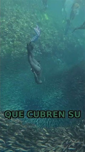Este pez APAGA y ENCIENDE su luz como un interruptor