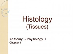 Histology (Tissues) - SlideServe