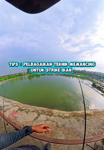 Tips Memancing untuk Setup yang Sesuai di Lapangan
