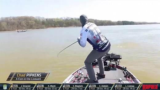 98K views · 3K reactions | Chad Pipkens just filled out his limit with this, in Zona's words, North Alamba Stud! Watch all the Day 2 Guaranteed Rate Bassmaster Elite at Pickwick Lake action on Bassmaster.com! ZONA's Awesome Fishing Show! #Bassmaster #BASSElite #PickwickLake | Bassmaster | Facebook