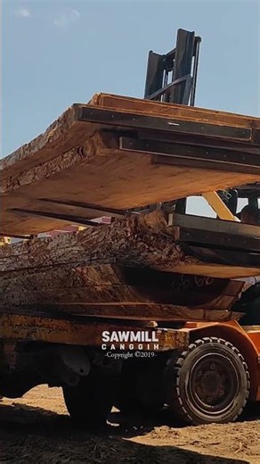 This Cut Made Us Rich #wood #woodworking #liveedge #monkeypod #sawblade #woodwork