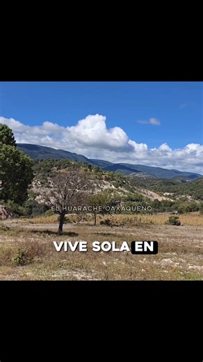 La Tía José vive dentro de las montañas 🤠 | El Huarache Oaxaqueño