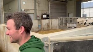 8K views · 262 reactions | Cow flow! Lots to learn….Great setup to make your work easy. Learn more on cowsignals online: https://www.cowsignals.com/en/online_courses/packet_of_all_10_courses | CowSignals Training Company | Facebook