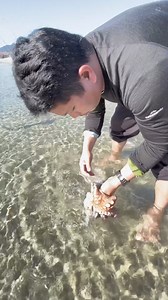 Ideas How To Clean Big Octopus #catch #cleaning #big #octopus #clean #ideas #tips #How #howto #seafood #freshseafood #seafoodlover #fishing #catching #fishingislife #Amazing #amazingfacts | Pinoy Vlog in New Zealand